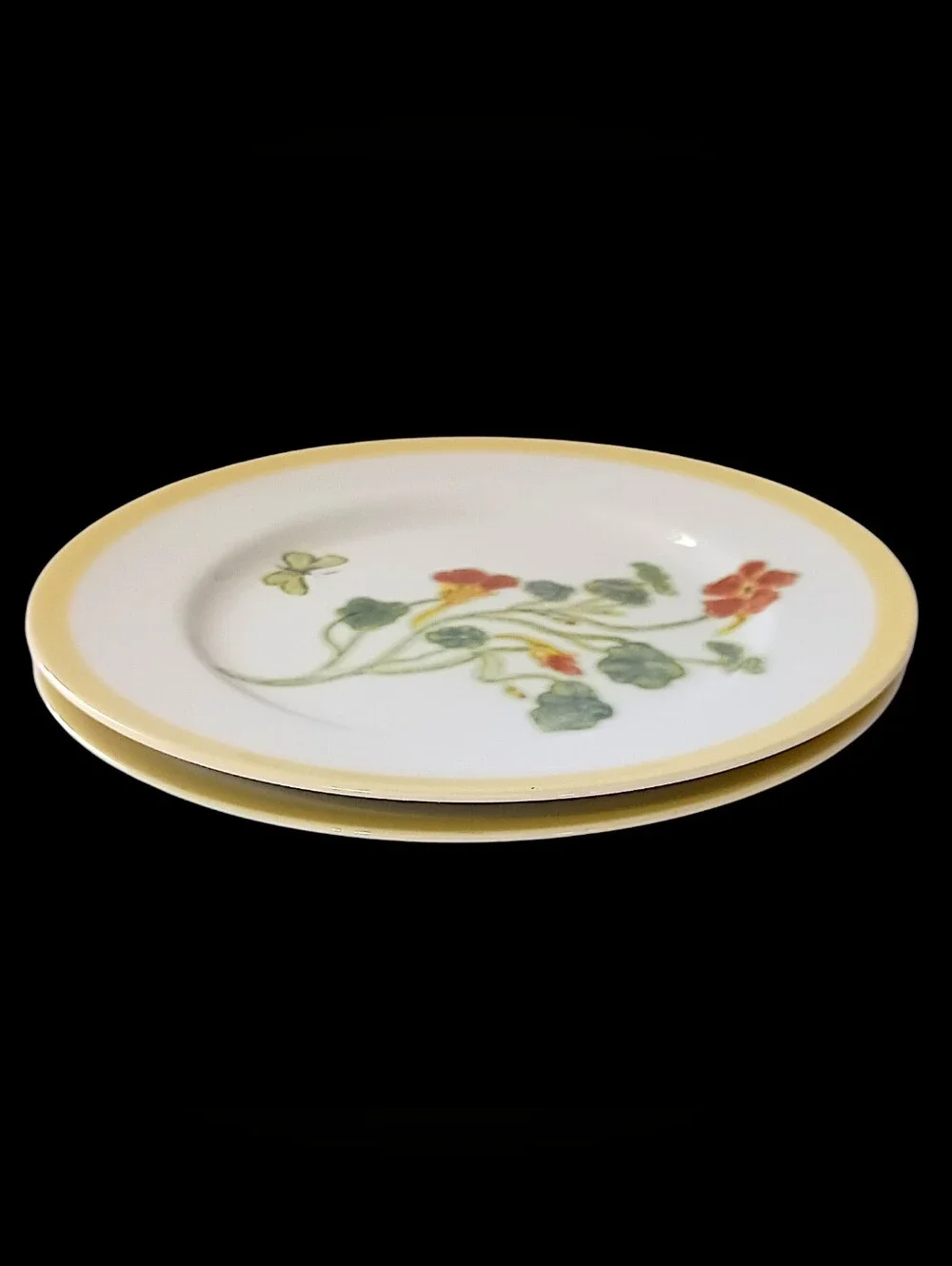 2 Williams Sonoma Flowering Herbs Salad Plates Purple Herb Flowers Nasturtium